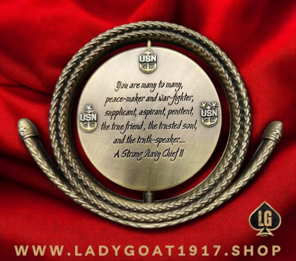 WW Lasso Challenge Coin 20”
