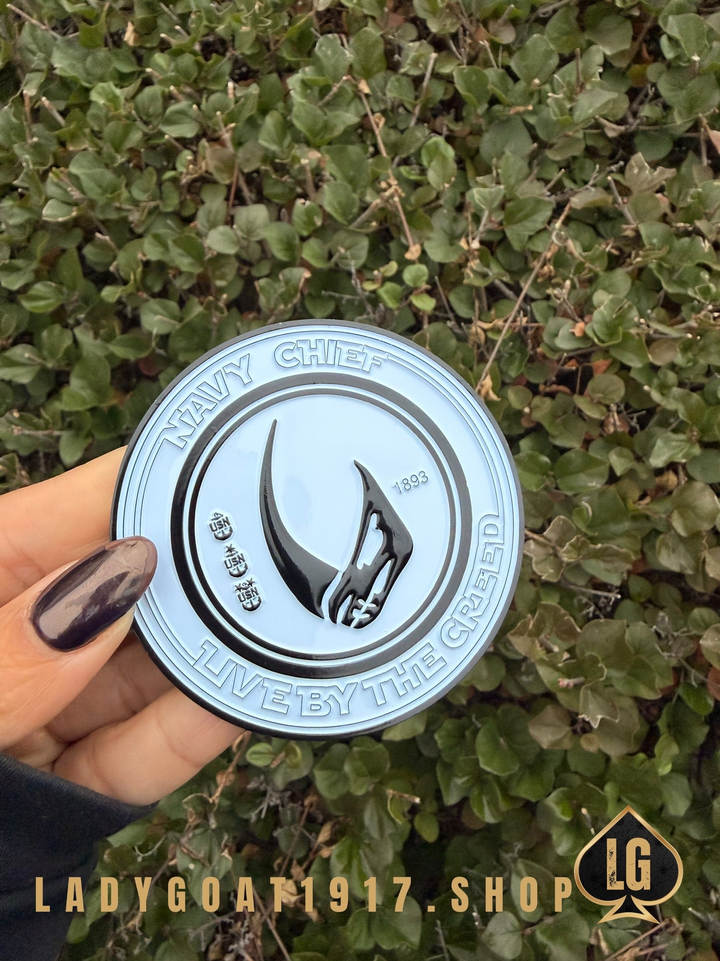 PURGE LIVE BY THE CREED BW