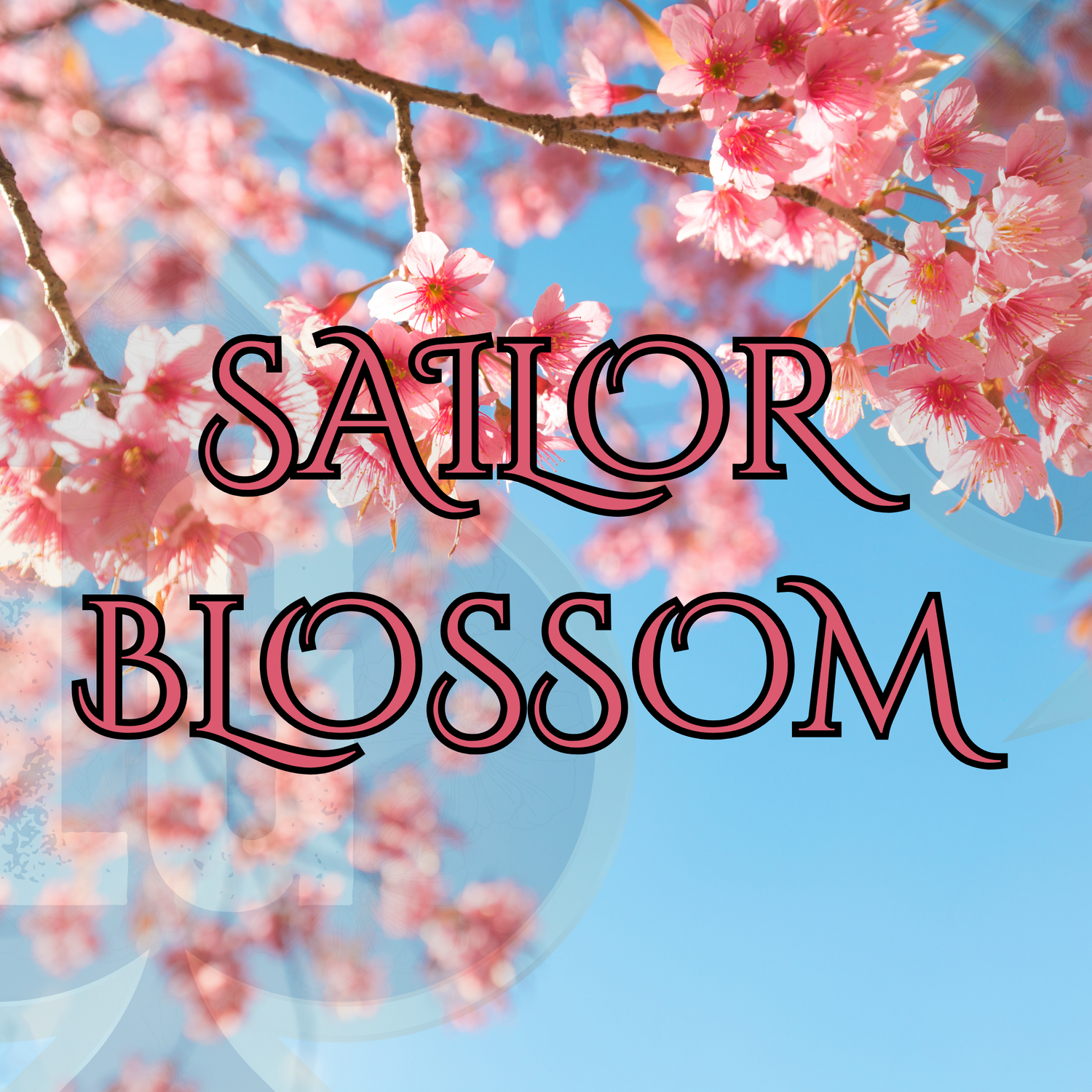 Sailor Blossom