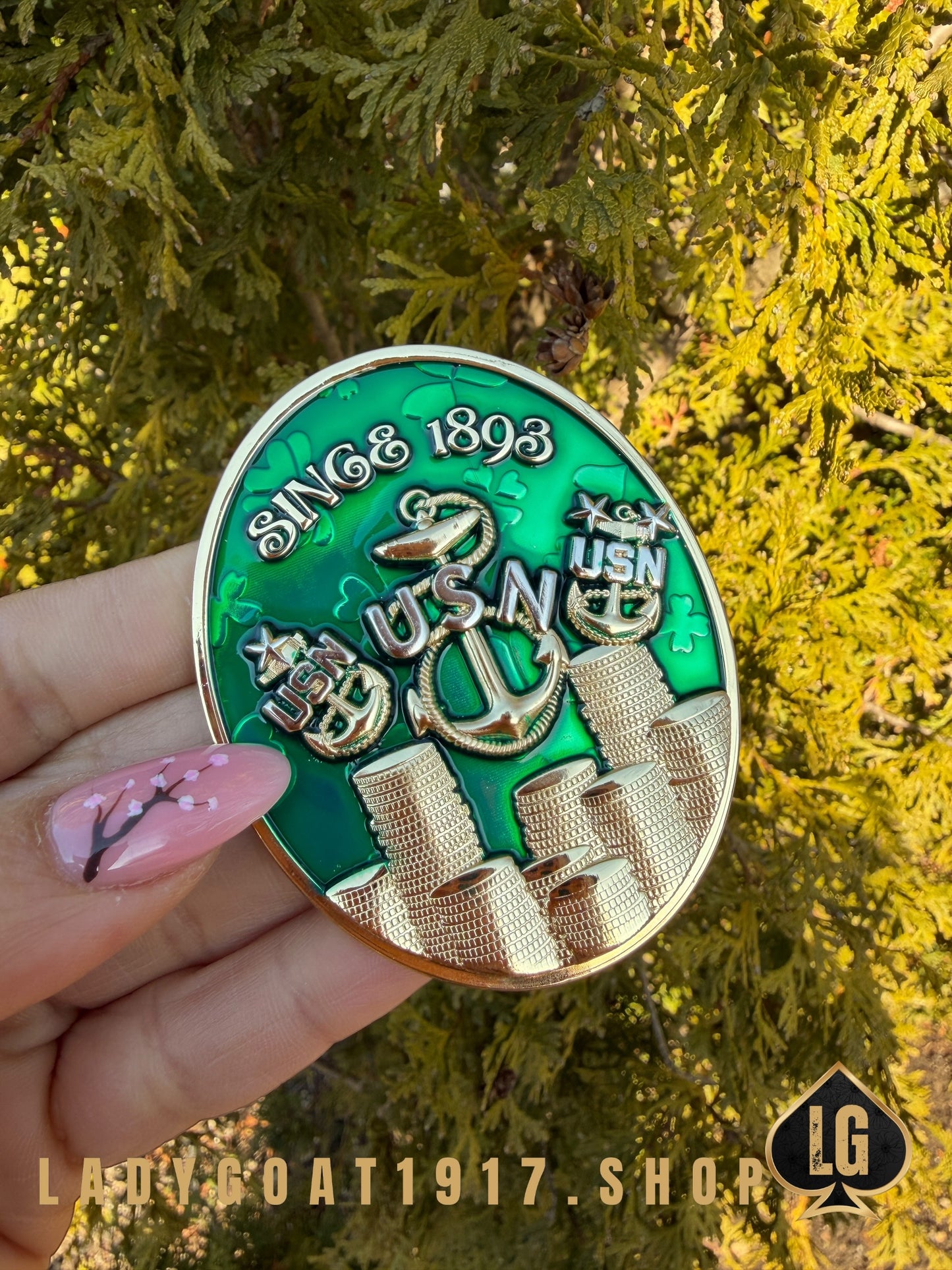 After me Coins Challenge Coin 25”