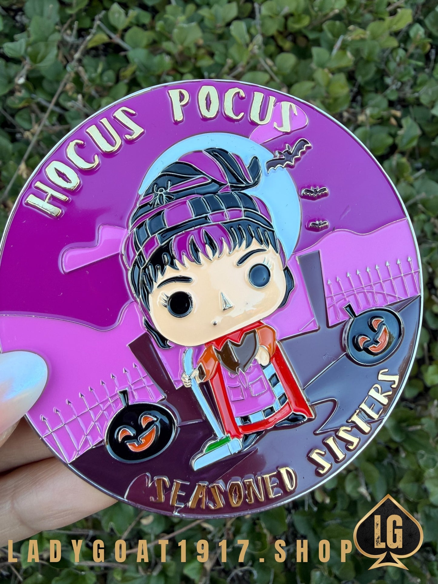 HCP V2 Challenge Coin 25”