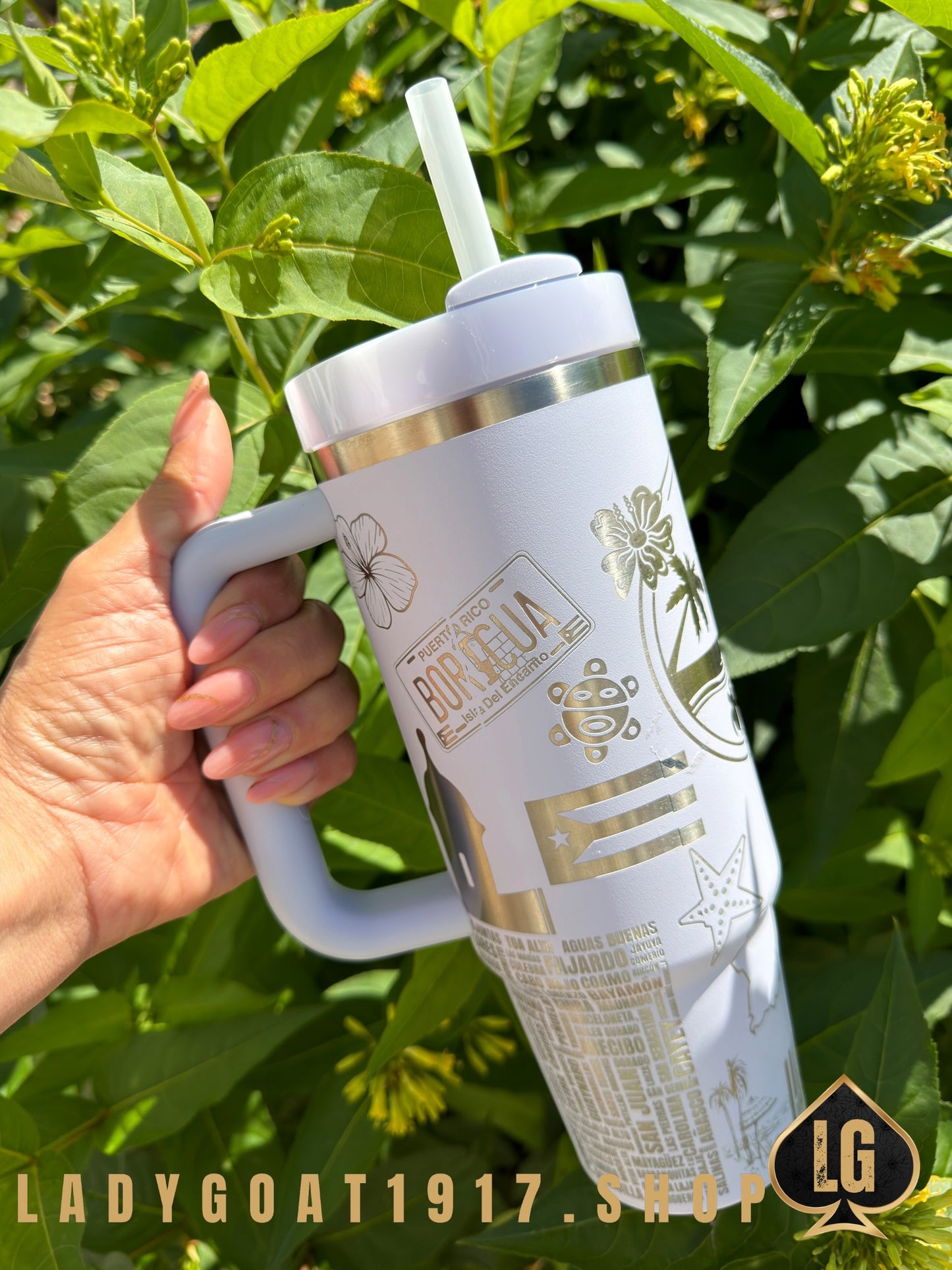 STANLEY Playero 🇵🇷🏝️ 30oz Tumbler Limited LILAC