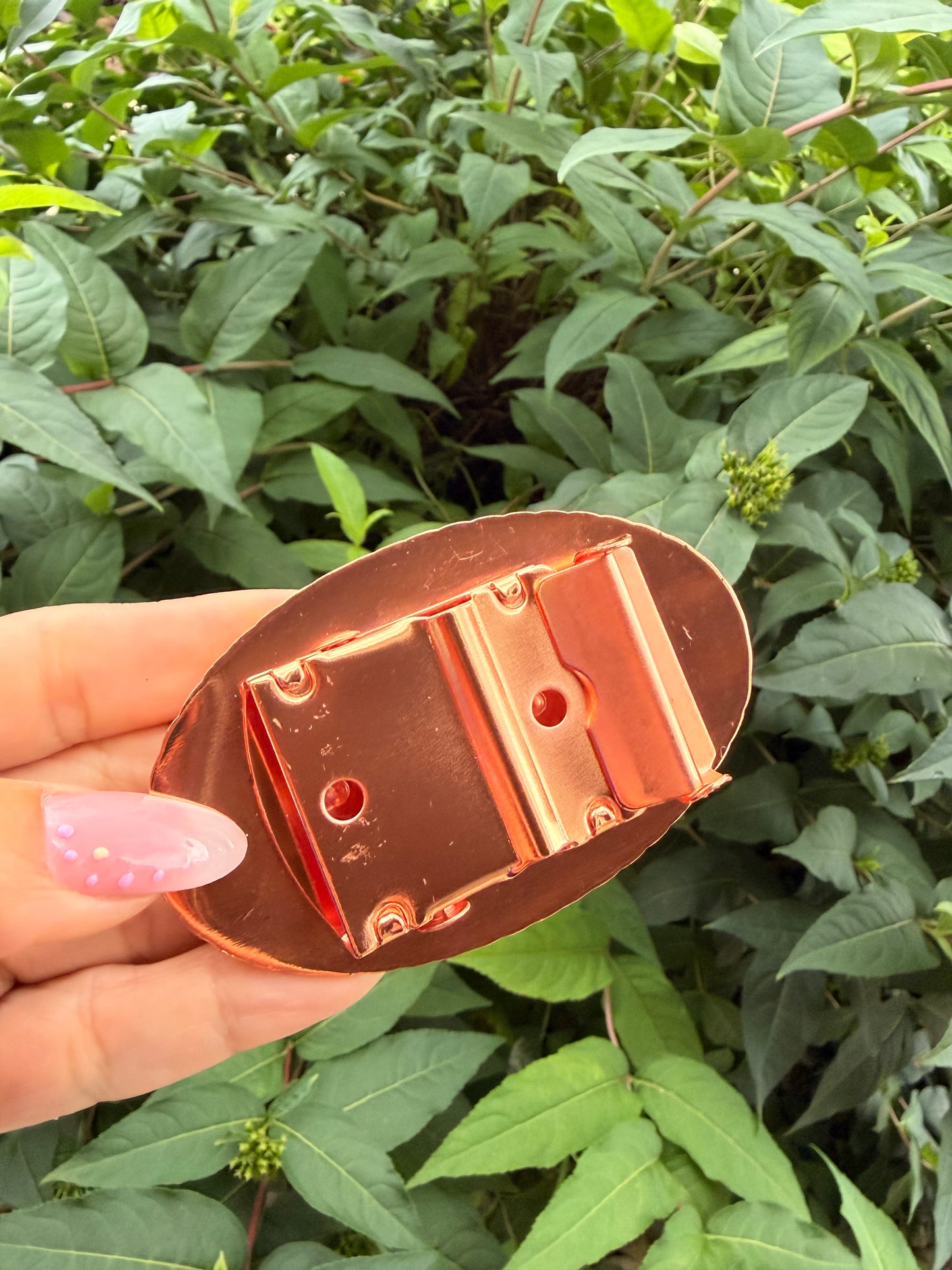 WW Belt Buckle ✨Purge Collection
