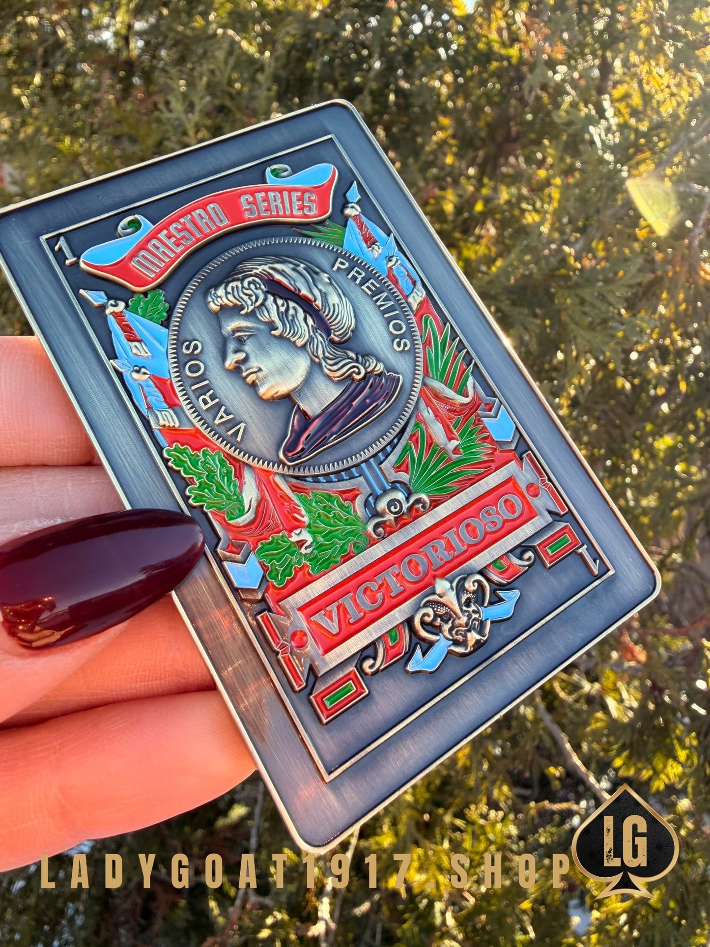 Brisca Challenge Coin 24”